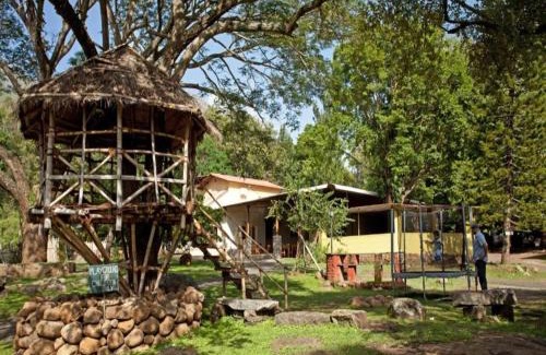 Masinagudi Resort | Relax at Jungle Hut: Rated 9.3 with Pool & Spa Amenities