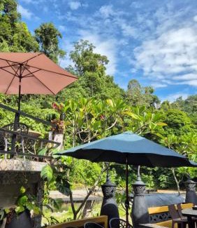 Bukit Lawang Hotel | Enchanting Jungle Inn Bukit Lawang with Oceanfront Views