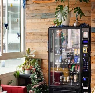 Jaffa Hostel | Vibrant Jungle Jaffa Hostel with Dining & Kitchen Access