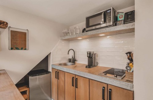 North End Apartment | Jungle luxe retreat with pool