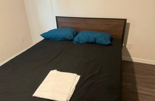Jacinto City Apartment | Jungle Paradise close to everything in town