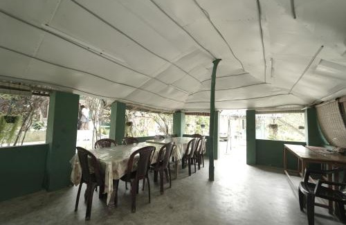 Masinagudi House | Experience Jungle Paradise at Our Family-Friendly Guest House