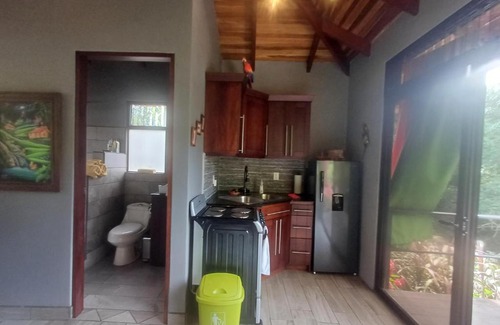 Escobal House | Discover Jungle River: Family-Friendly & Pet Welcoming Escape