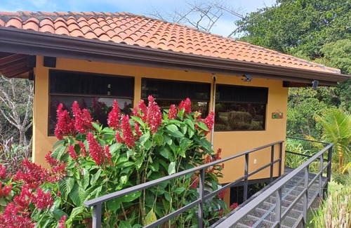 Escobal House | Discover Jungle River: Family-Friendly & Pet Welcoming Escape