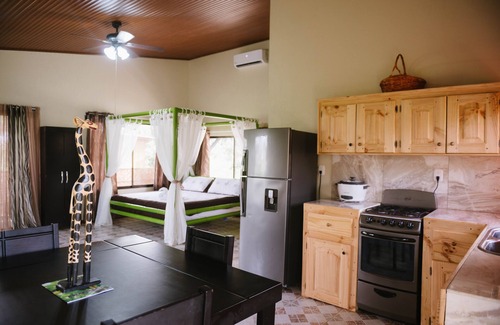 Parrita House | Experience Tarzan Jungle Home: Pool, Spa & Zipline Fun!