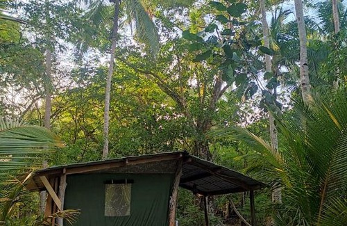 Paquera Other | Pet-Friendly Jungle Tent with Ocean Views in Paquera