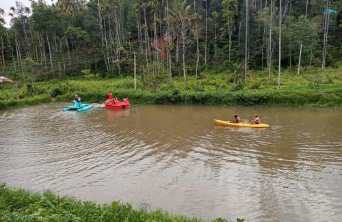 Kottappadi part House | Explore Jungle Valley Resort: Pet-Friendly Retreat in Wayanad