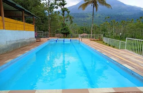 Kottappadi part House | Explore Jungle Valley Resort: Pet-Friendly Retreat in Wayanad