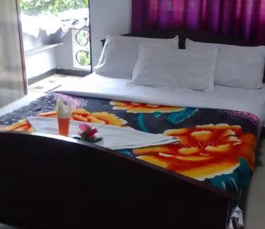 Masinagudi House | Jungle View Home Stay