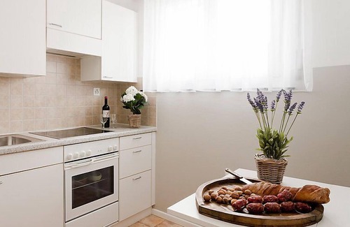Ascona Apartment | Pet-Friendly Junior Suite with Spa & Lake View Amenities