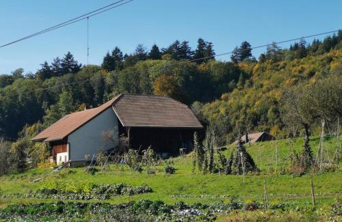 Wiedlisbach Bed & Breakfast | Family-Friendly Getaway at Jurastei 16 - Rated 9/10