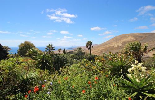 La Asomada Apartment | Discover Casa Jurte: Oceanfront Retreat with Private Pool