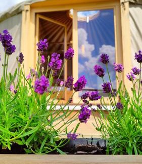 Lutowiska Other | Oceanfront Retreat at Mononoke - Jurty nad Sanem