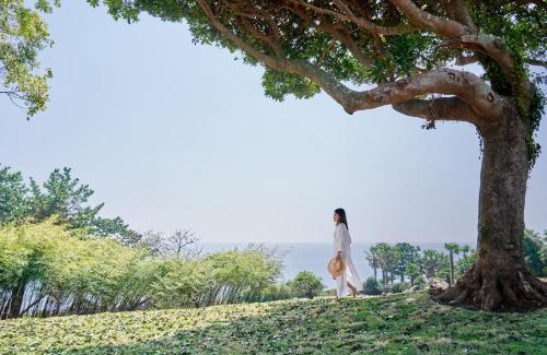 Seogwipo City Hotel | Elegant JW Marriott Jeju Resort & Spa with Oceanfront Views