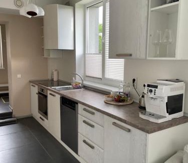 Kelme Apartment | Exceptional Stay at JZ Apartamentai - Pet and Child Friendly
