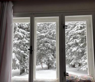 Janske Lazne Cabin | Discover Kábrtova Bouda: 9/10 Guest Rated Retreat