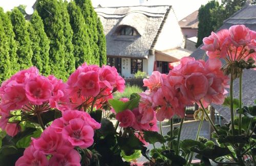 Tihany House | Family-Friendly Kékmadaras Vendégház Tihany - Rated 9.4/10