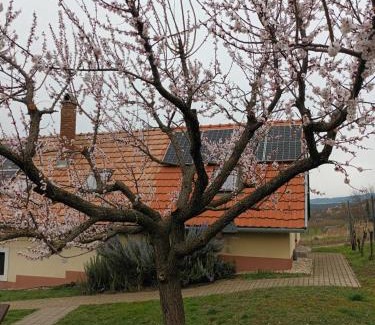 Tapolca Apartment | Relaxing Oceanfront Escape at Kéknefelejcs Vendégház