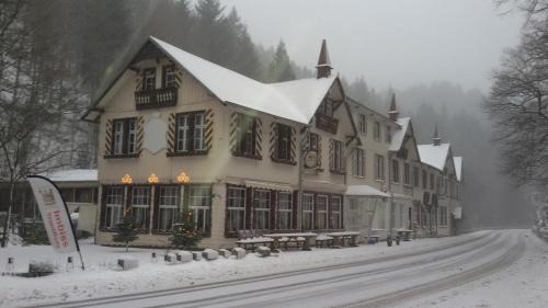 Landkreis Goslar Hotel | Discover Königreich Romkerhall: Pet-Friendly Retreat