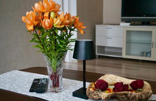 Torva Apartment | Family-Friendly Külaliskorter in Tõrva with Great Reviews