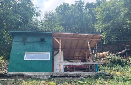Vitosha District House | Kъщичка в полите на планина Витоша с коне и животни