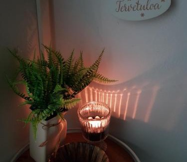 Oulu Apartment | Pet-Friendly Kaarteen Yksiö with Great Guest Ratings