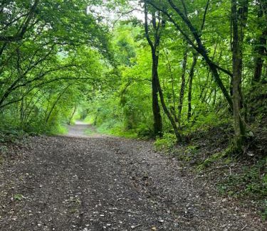 Ammanford Ski Chalet | Pet-Friendly Kabin in the Woods - Guest Rated 9.8/10