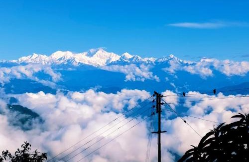 Lebong and Mineral Spring Tea Garden House | Cozy Kabiraj Homestay: Pet and Child-Friendly Retreat