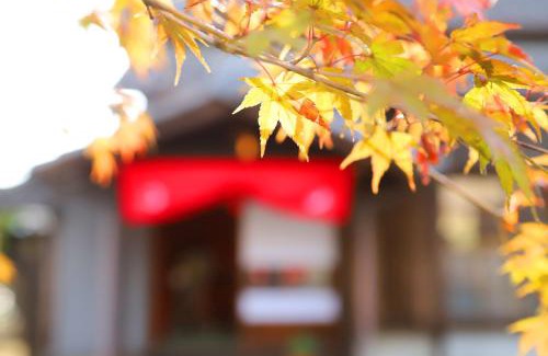 Tadotsu-cho Hotel | Discover Kachusha Gekko: Family-Friendly Retreat with Dining