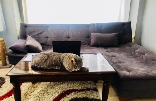 Kadikoy Apartment | Convenient Kadıköy Retreat: Steps to Boğa with Pet-Friendly Stay
