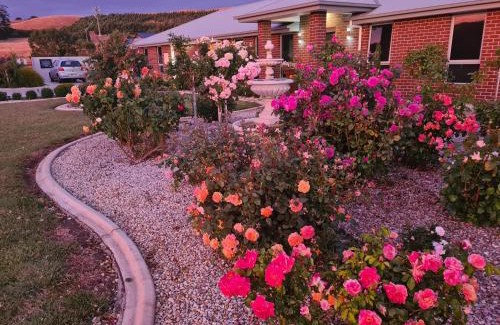 Wynyard Apartment | Cozy Kadi House - Unit 2 with Kitchen & Perfect Score!