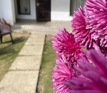 Shyamkhet House | Discover KAFAL TREE Home Stay: Guest Rated 9/10, Pet-Friendly