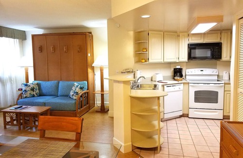 Port Coquitlam Apartment | Cozy Kahana Falls Maui Studio with Kitchenette for Two