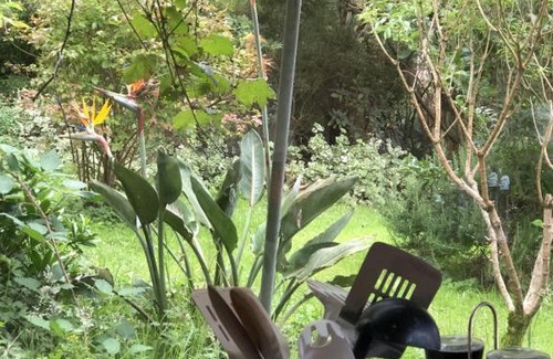 Apollo Bay House | Dog-Friendly Retreat at Kahmahnee, Apollo Bay Awaits!