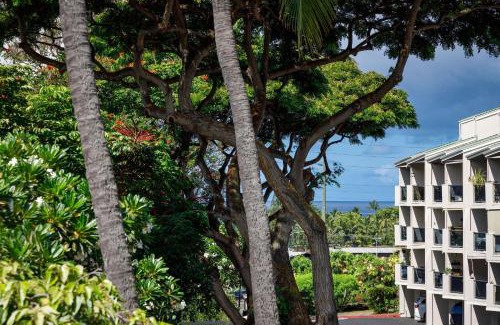 Historic Kailua Village House | Oceanview Escape at Kailua Bay Resort - Family Friendly Stay