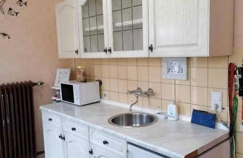 Hallenberg Apartment | Cozy Kaisers Bauernstube: Family-Friendly with Spa & Kitchen