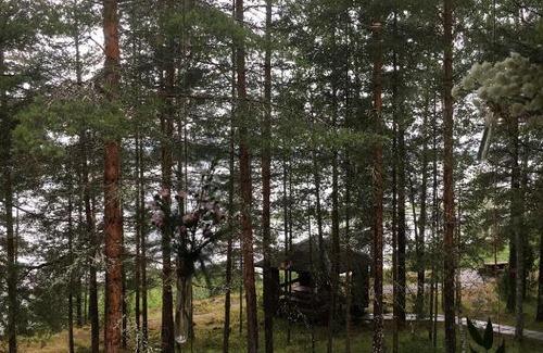 Kosalma Hotel | Pet-Friendly Kalevala Hotel: Ocean Views & Private Pool