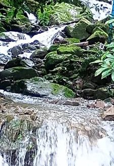 Villavicencio Hotel | Discover Kaliawiri Bird Lodge: 4-Star Pet-Friendly Retreat
