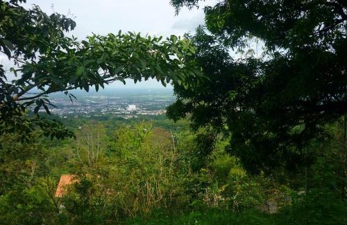 Villavicencio Hotel | Discover Kaliawiri Bird Lodge: 4-Star Pet-Friendly Retreat