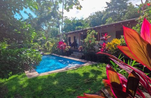 Palomino Bed & Breakfast | Pet-Friendly Kallpa B&B with Pool and Restaurant Awaits