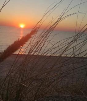 Juodkrante Apartment | Oceanfront Kalno Studijos with 10/10 Guest Rating