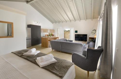 Mpogdanatika Villa | Relaxing Forest Villas Paxos with Pool & Family Amenities