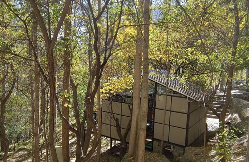 Hunza Ski Chalet | Relax at Kalp With Forest View - Family and Pet Friendly Stay