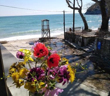 Keramidi House | Pet-Friendly Kamari Beach Guest House with Breakfast Included