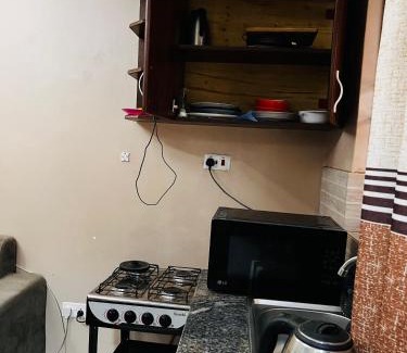 Kampala Apartment | Budget-Friendly Kampala Flat: Perfect for Families and Pets