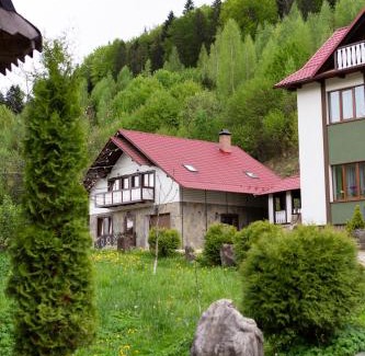 Yaremche House | Discover Kamyanka: Pet-Friendly Stay with 9.5/10 Rating
