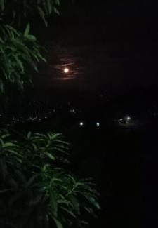 Kandy Resort | Pet-Friendly Kandy IVY Mountain View Resort with High Ratings