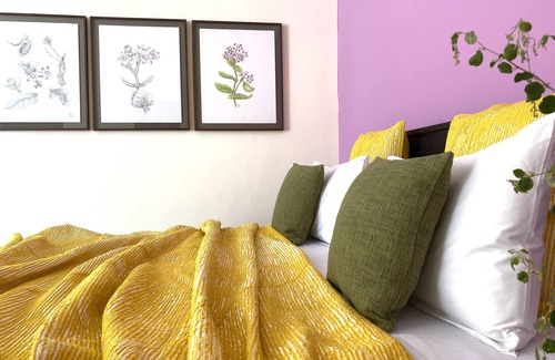 Shekhala Resort | Discover Kaner Retreat - India's Unique Desert Botanical Getaway