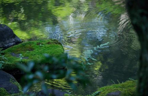 Central Kyoto Villa | Discover KANETSUNE: Temple Lodging with Unique Amenities