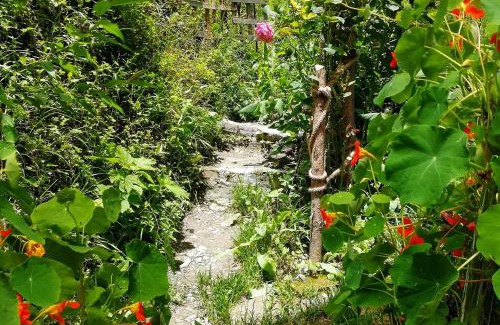 Ganzi County House | Discover Kangding Guozhuang Nan Wu Boutique Inn Today